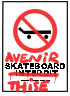 logo avenir skateboard thise
